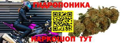apvp Севастополь